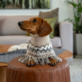 Charger l'image dans la visionneuse de la galerie, Poncho en Alpaga pour Chien
