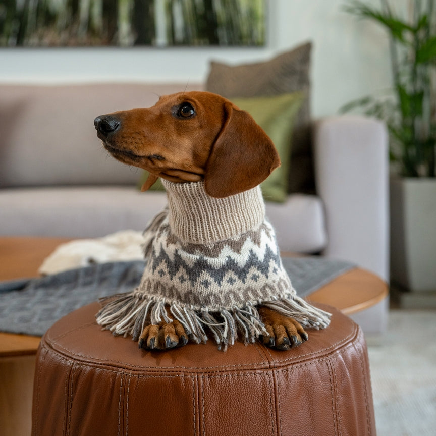 Poncho en Alpaga pour Chien