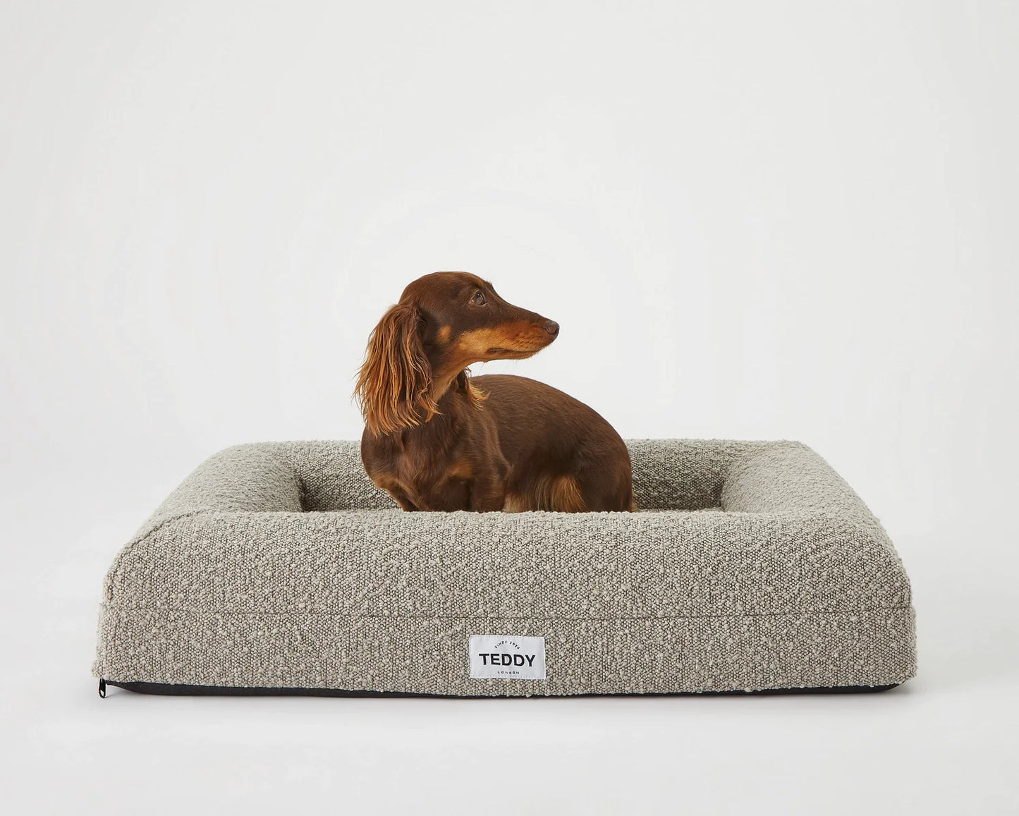 TEDDY London Panier Boucle