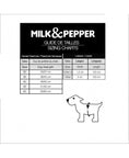 Charger l'image dans la visionneuse de la galerie, Laisse cuir Dandy Milk&Pepper

