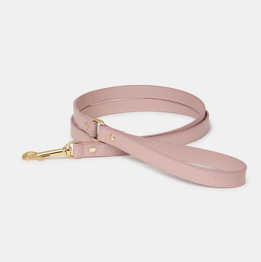 Laisse Nara Branni Rose