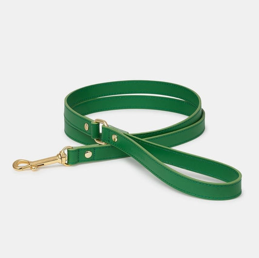 Laisse Nara Branni Vert