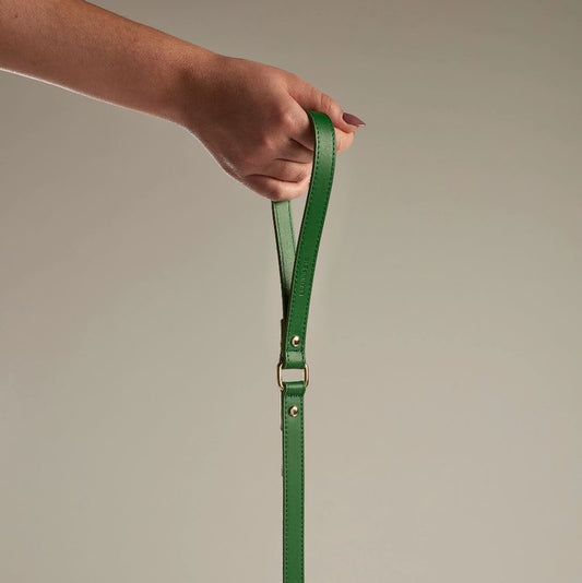 Laisse Nara Branni Vert